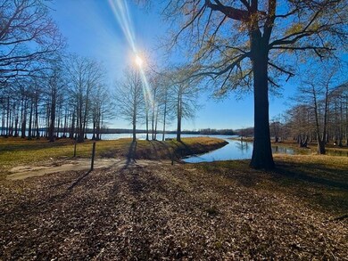 346 Bragg Drive Bragg Dr, Hemphill, TX 75959 - photo 6