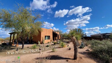 Low Maintenance Landscape