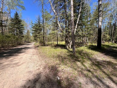 TBD Necktie Loop, Lake George, MN 56458 - photo 4