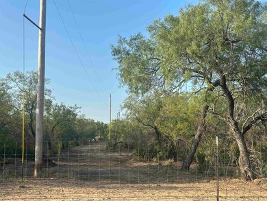 992 Jordan Rd unit 992 Jordan Rd Tract, Encinal, TX 78019 - photo 6