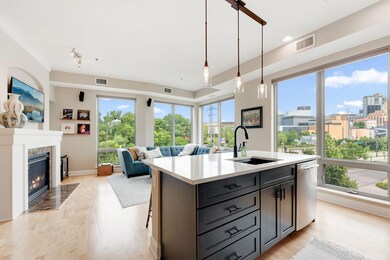 240 Spring St unit 302, Saint Paul, MN 55102 - photo 4