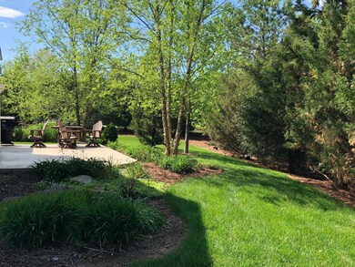 Park like back yard. 