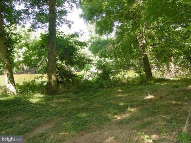 0 Deer Meadow Dr unit 1004492098, Strasburg, VA 22657 - photo 6