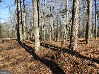 0 Fence Rd unit 10658405, Dacula, GA 30019 - photo 2