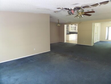 4110 Osceola Trail, Middleburg, FL 32068 - photo 2