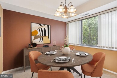 2105 Walsh View Terrace unit 203, Silver Spring, MD 20902 - photo 5