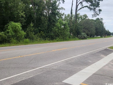 2763 Highway 905, Conway, SC 29526 - photo 2