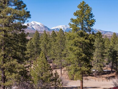 699 N Lakeside Dr, Durango, CO 81303 - photo 6