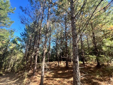 - Airport Ln, Crosby, MS 39633 - photo 3