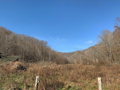 IMG_3437