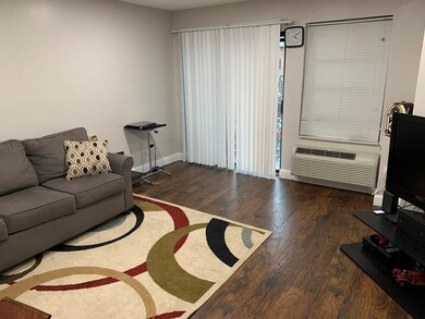 59 Msgr Patrick j Lydon Way unit 204, Dorchester Center, MA 02124 - photo 5