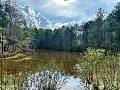 0 Klopher unit 179093, Bolingbroke, GA 31004 - photo 3