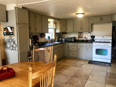 11552 N Bingham Ave, Bitely, MI 49309 - photo 6