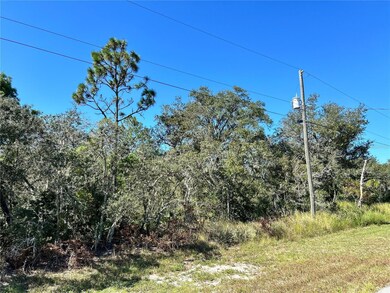 0 Woodstork Way unit MFRL4957343, Frostproof, FL 33843 - photo 4