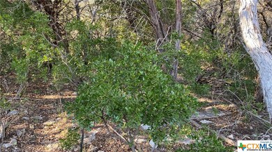 16210 Brazos Ct, Temple, TX 76502 - photo 6