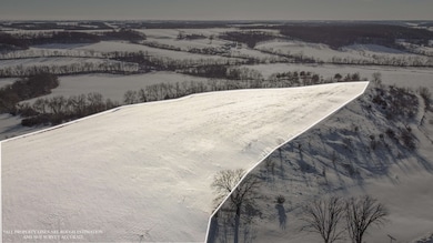 TBD E Hairpin Rd, Stockton, IL 61085 - photo 7