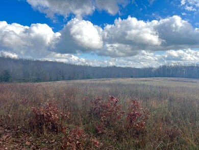 0 E Highway 14 Private Dr unit D, Ava, MO 65608 - photo 3