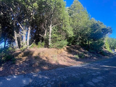 85 Carson Ct, Shelter Cove, CA 95589 - photo 2