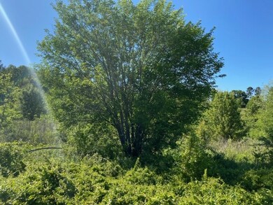 Lot 1 Hidden Falls Dr unit Lot 1, West Union, SC 29696 - photo 7