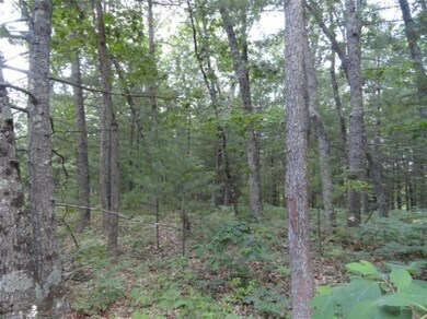 0 Grant St, Bitely, MI 49309 - photo 3