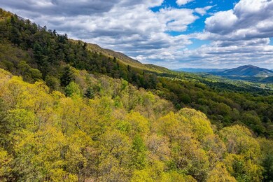 16 Diamond Pointe, Butler, TN 37640 - photo 6