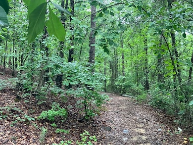 0 5 St, Phenix City, AL 36869 - photo 3