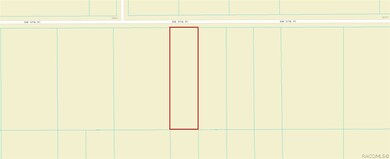 00000 SW 57th Place, Dunnellon, FL 34432 - photo 4