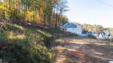 8024 Eagle Crest Ln, Shelby, AL 35242 - photo 2