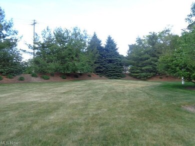 Gorgeous Green space adjacent to 116 Vista Ct