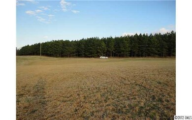 Land - Much of land has planted pine trees