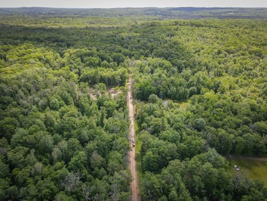 dji_fly_20240606_110254_297_171768619397