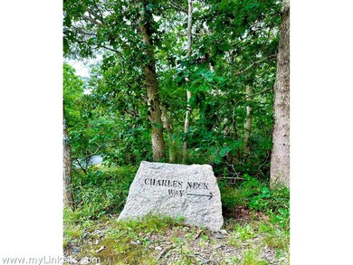 168 Charles Neck Way unit 49, Vineyard Haven, MA 02568 - photo 5