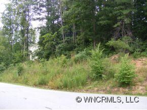 233 Baton Ln unit 10, Hendersonville, NC 28792 - photo 5