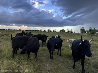 6790 6th Rd, Labelle, FL 33935 - photo 3