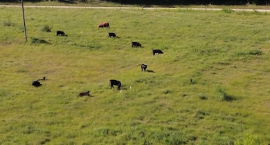 7.5 acres Wright & Keyes Rd, Sherman, TX 75092 - photo 2