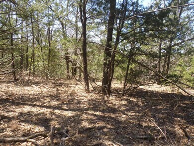 View of undeveloped land