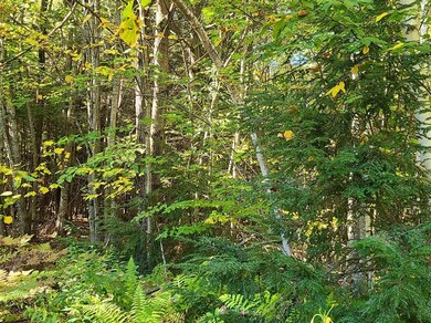 00 Long Ridge Rd unit Lot 2 AKA Lot 22, Sanbornville, NH 03872 - photo 7