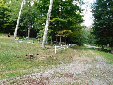 849 Mcmillan Rd, Halifax, VT 05342 - photo 6