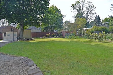 Extra side lots...grapes, blueberries & strawberries