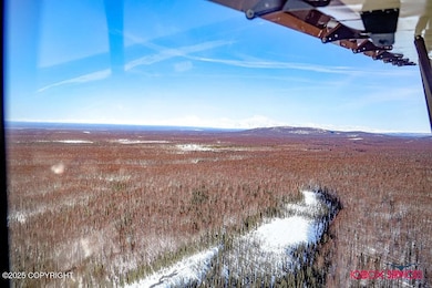 26112 S Gadol Dr, Talkeetna, AK 99676 - photo 2