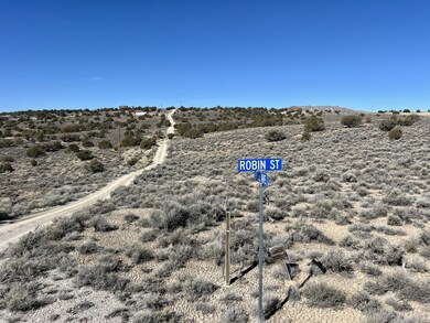 0 Lee Ave unit 3626046, Spring Creek, NV 89815 - photo 4