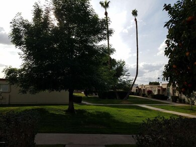 Beautiful Grass Courtyard