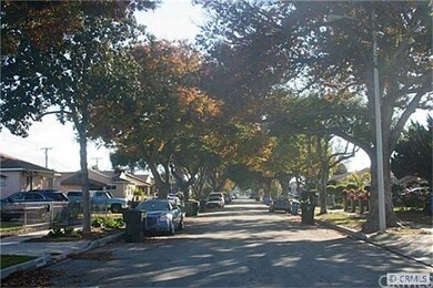 Beautiful tree lined street