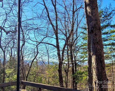 115 Ballantree Dr, Asheville, NC 28803 - photo 5