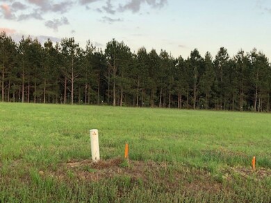 105 Paces Ln, Boston, GA 31626 - photo 3