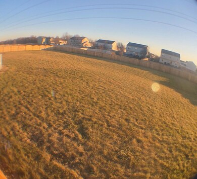 huge back yard