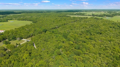 dji_20250503151005_0737_d