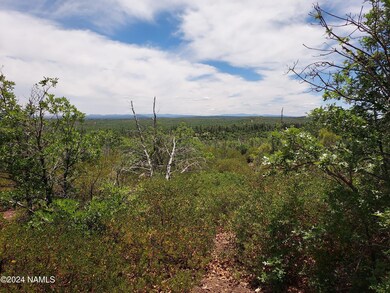 Land awaiting your home