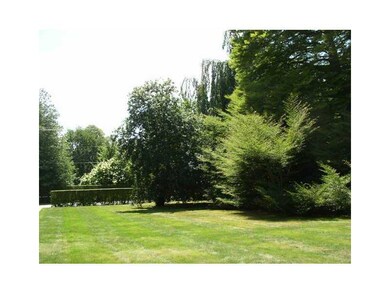 Yard/Garden.