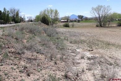 2606 Fairway Dr, Cortez, CO 81321 - photo 6